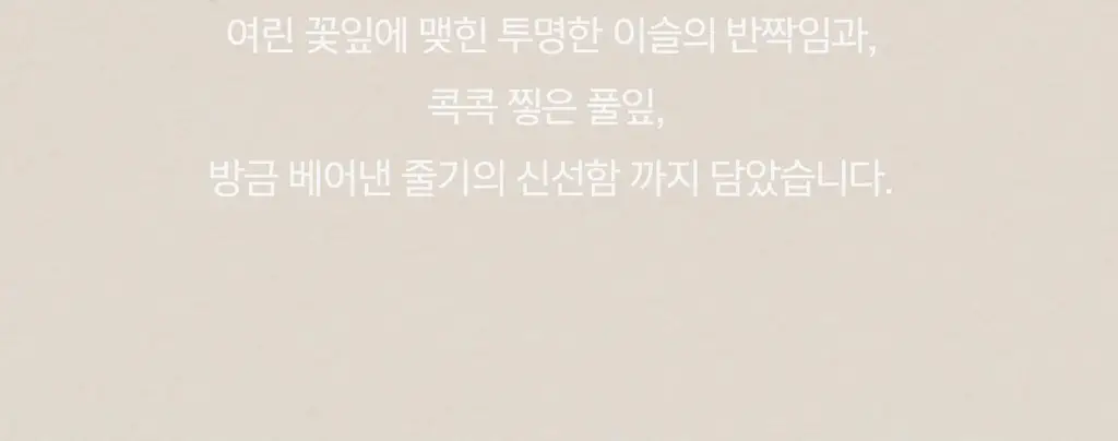[리얼여름장미향]든향 퍼퓸 디퓨저 생장미 120ml 상세페이지 2